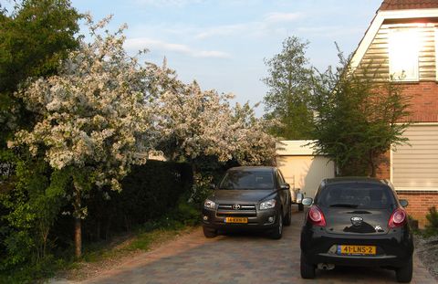 Oprit Familie Hummel — foto 6